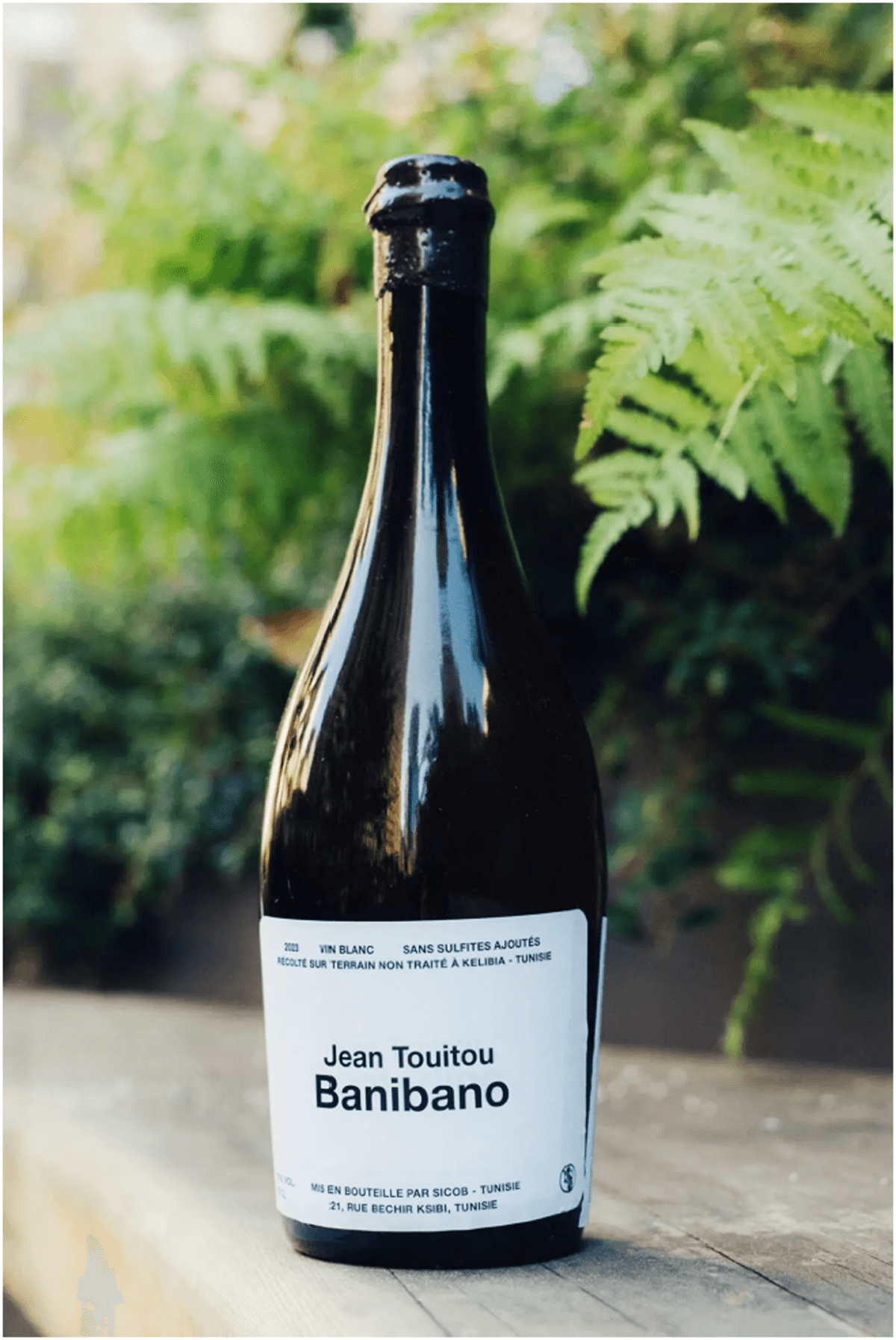 Bouteilles de vin Jean Touitou Banibano