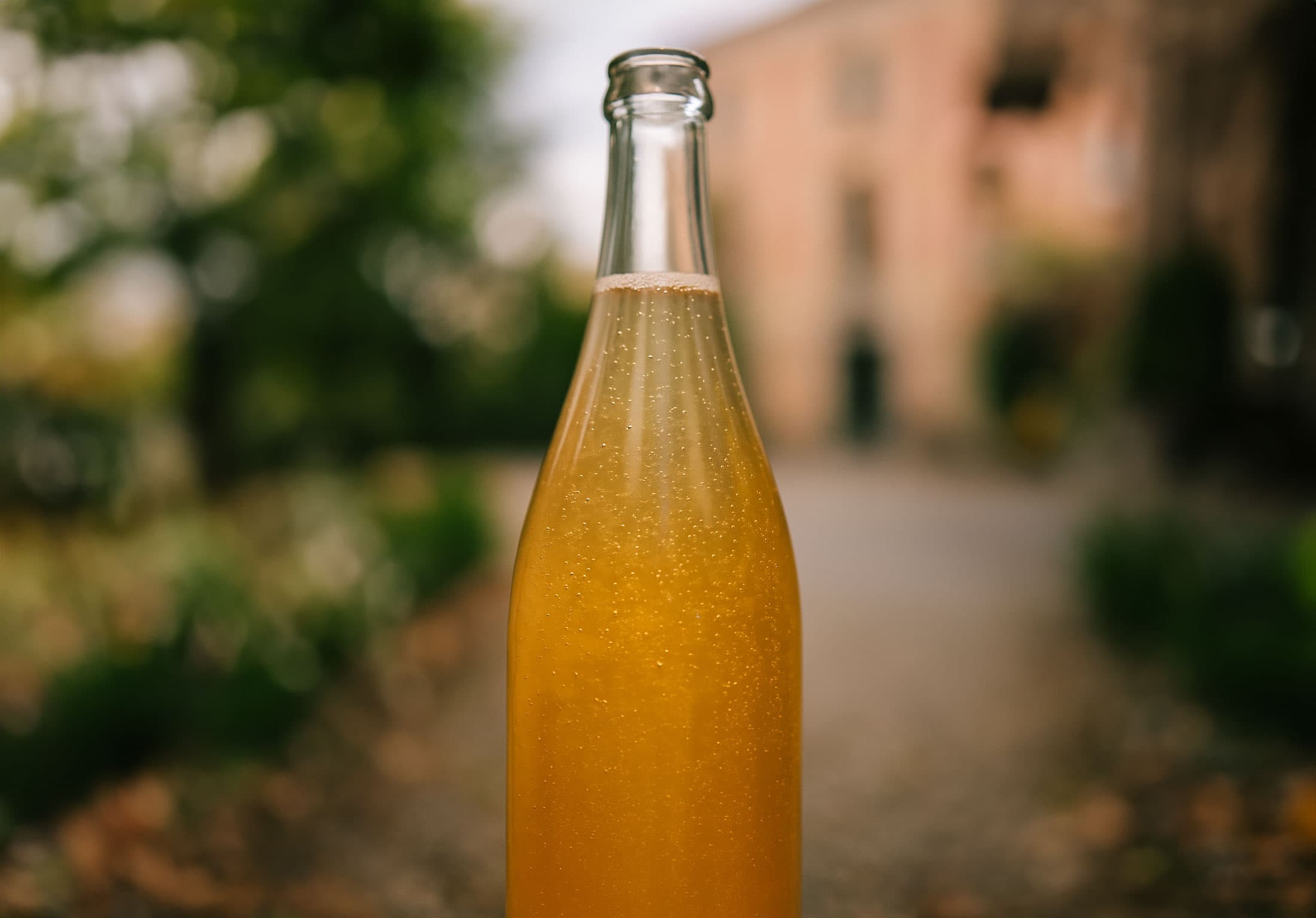 Bouteille de Pétillant Naturel avec paysage catalan
